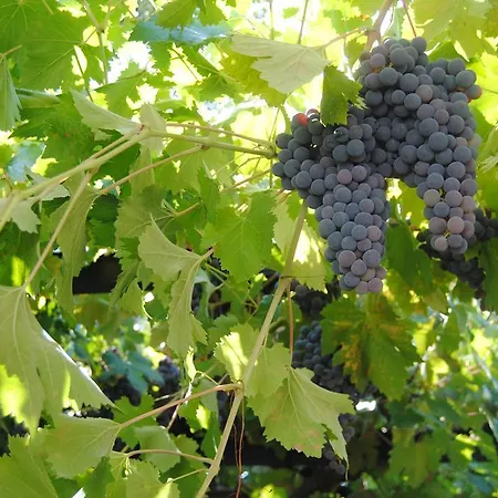 Casa Rural Romanejo Дом отдыха