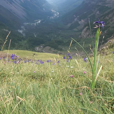 Дом отдыха Casa Rural Romanejo *