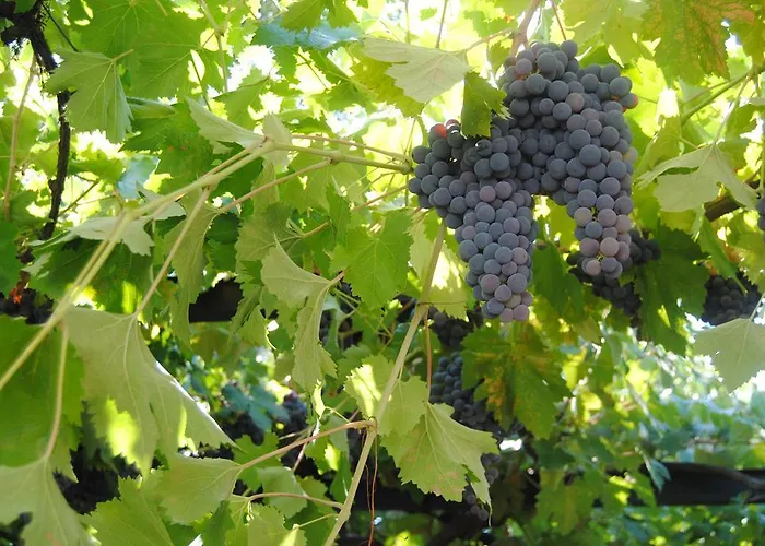 Romanejo Prázdninový dům