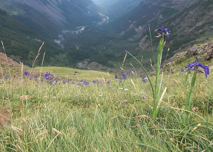 Дом отдыха Casa Rural Romanejo *